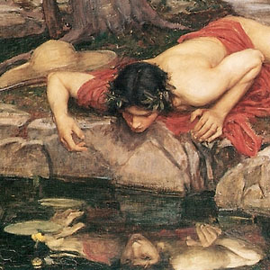 The term narcissism comes from the Greek myth about Narcissus